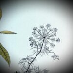 Melancholie als Burnout-Prophylaxe