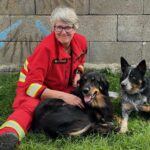 Michi Einsatzübung Hunde